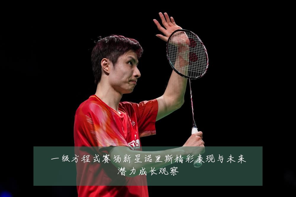 一级方程式赛场新星诺里斯精彩表现与未来潜力成长观察