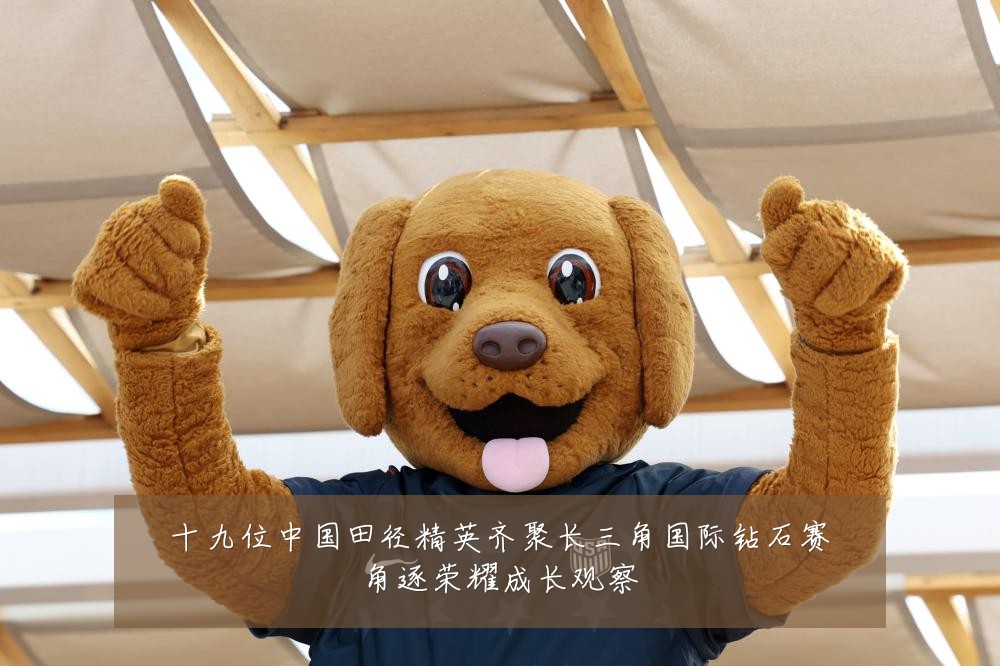 十九位中国田径精英齐聚长三角国际钻石赛角逐荣耀成长观察